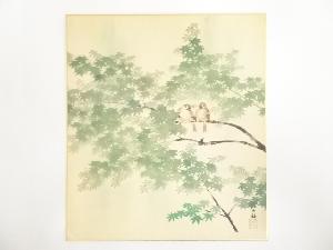 横山大観　青楓に雀　印刷色紙